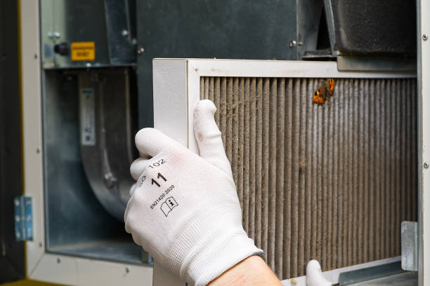 Best Local Air Duct Cleaning Services  in West Frankfort, IL