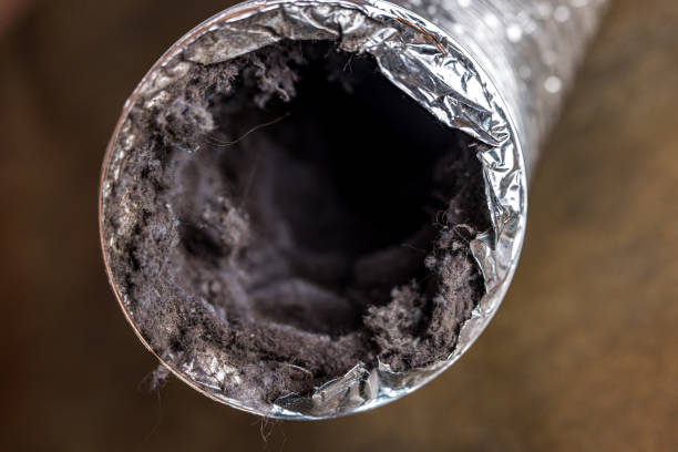 Best Air Duct Sanitizing Services  in West Frankfort, IL