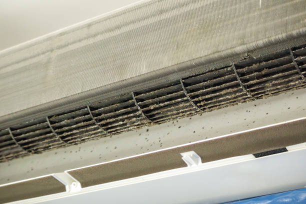 Best Residential Air Duct Cleaning  in West Frankfort, IL