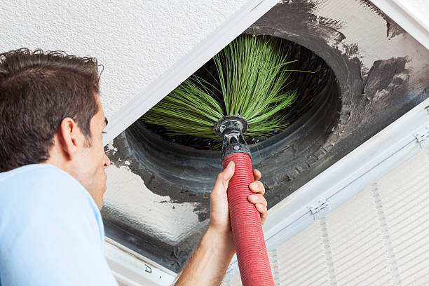 Best Dryer Vent Cleaning Services  in West Frankfort, IL